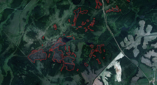 Летние смерчи повалили больше 830 гектаров леса в Кировской области