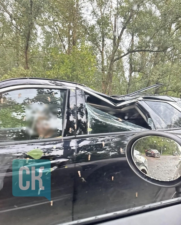 Поваленное ураганом дерево повредило машину на дамбе в Кирове: фото