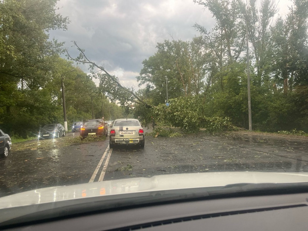 Ураган повалил деревья в районе старого моста в Кирове: фото