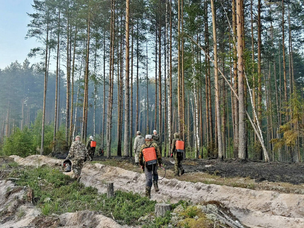В Кировской области произошел лесной пожар