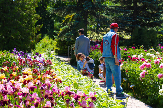Летние сезоны в Ботаническом саду: фоторепортаж