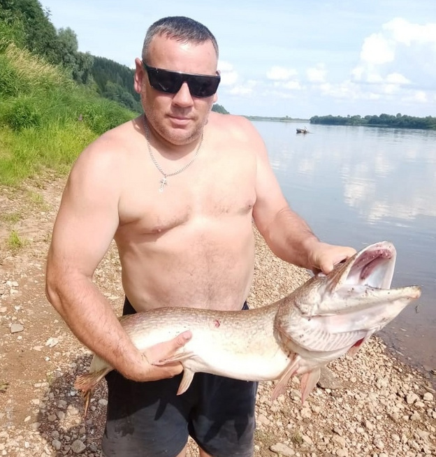 Житель Котельнича поймал в пруду огромную щуку