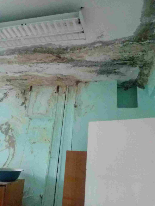 В детсаду «Родничок» в Косино из-за дождей плесень и сырость