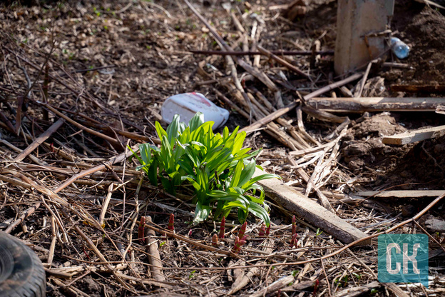 Фоторепортаж с места пожара на Володарского, 72а: что это был за дом и что от него осталось