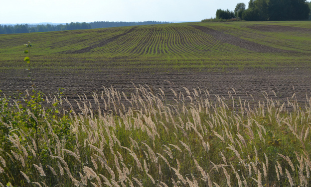 Сельхозпредприятия Уржумского СВЗ на 148% перевыполнили план по заготовке сена