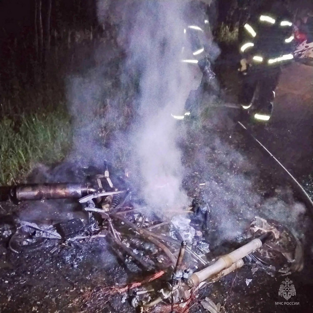 В Кировской области мотоцикл столкнулся с лосём и загорелся
