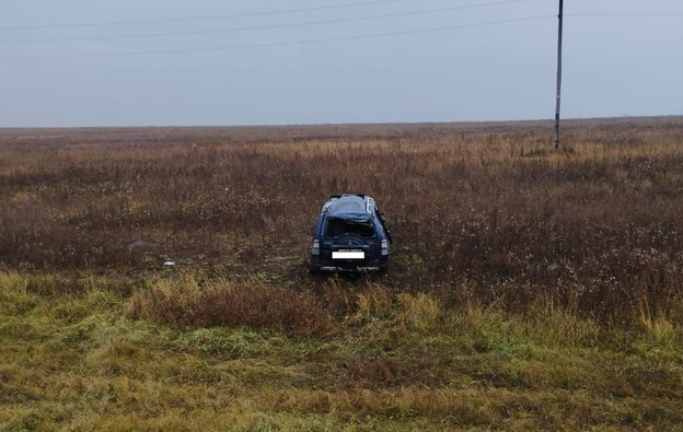 В Малмыжском районе автомобиль вылетел с дороги