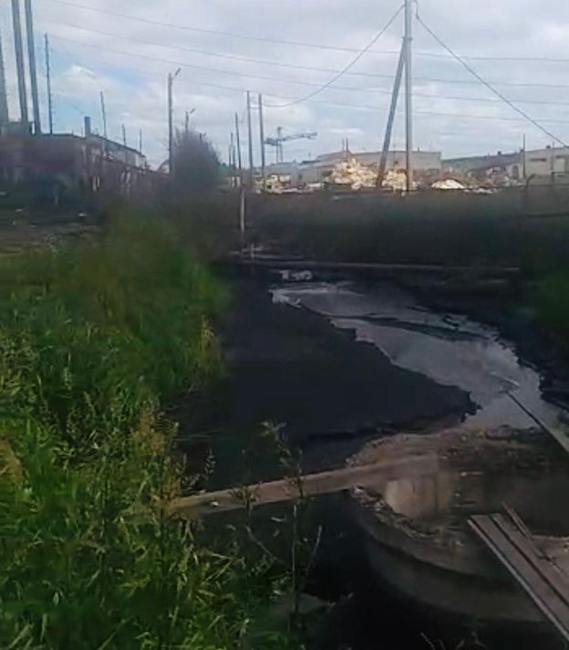 ОНФ: китайское предприятие загрязняет реку Мосуновку