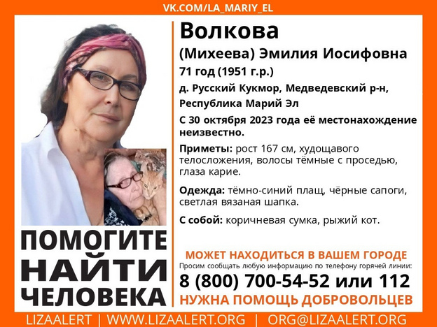 В Кировской области ищут пропавшую жительницу Марий Эл