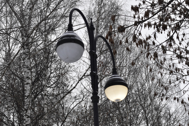 В Александровском саду из-за жалоб кировчан начали восстанавливать уличное освещение