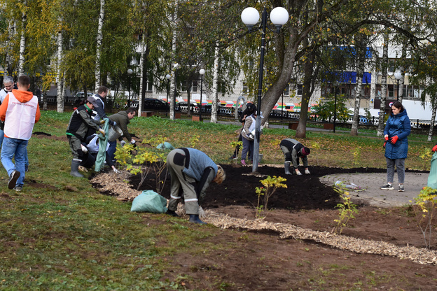 Дендропарк с яблонями, розами и клёнами: кировские энергетики высадили в Музыкальном сквере около 100 деревьев