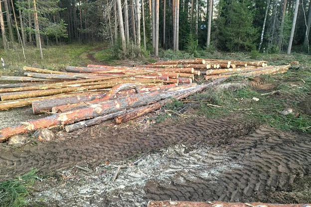 В Кирово-Чепецком районе начали готовить к ремонту дорогу на Бумкомбинат
