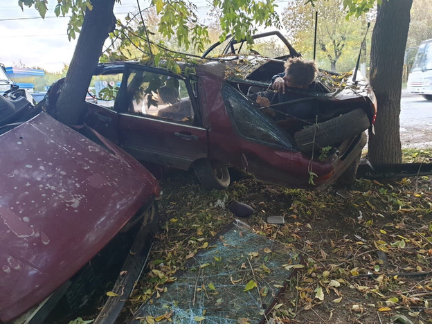 В Кирове водитель «Мицубиси Галант» влетел в дерево: автомобиль разорвало пополам