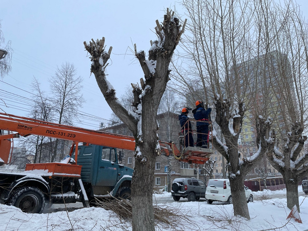 На прошлой неделе в Кирове обрезали деревья на семи улицах