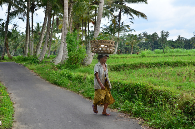 «На Бали море миллионеров, но все ходят, как бомжи». История кировчан, уехавших на зимовку в Индонезию