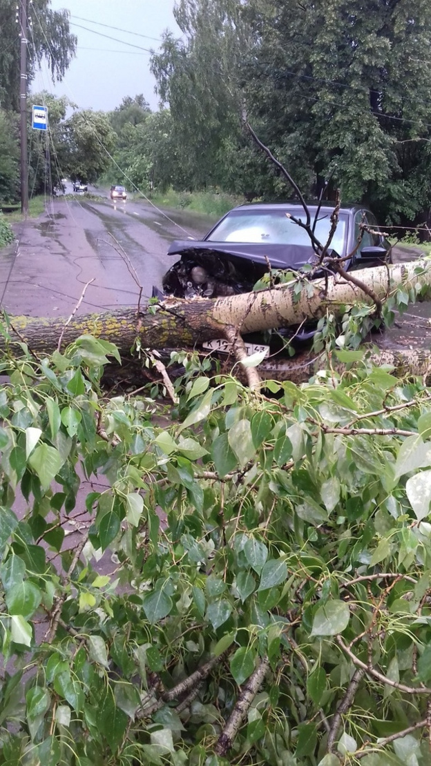 В Котельничском районе ветер повалил деревья на кладбище и сорвал крыши с домов