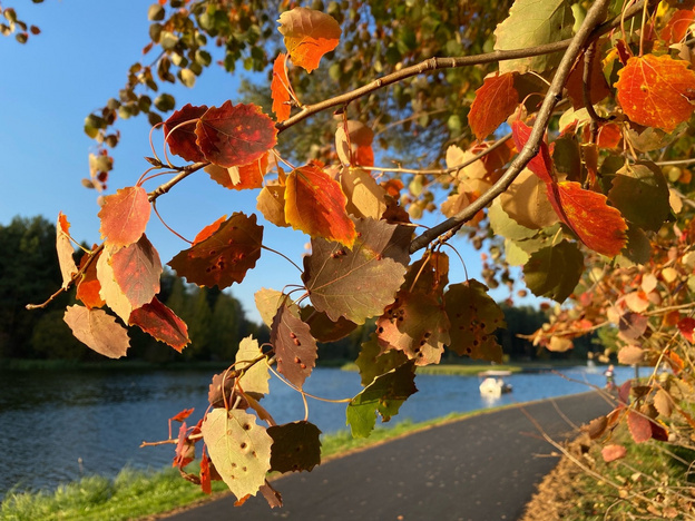 Золотая осень в Кировской области. Фотолента