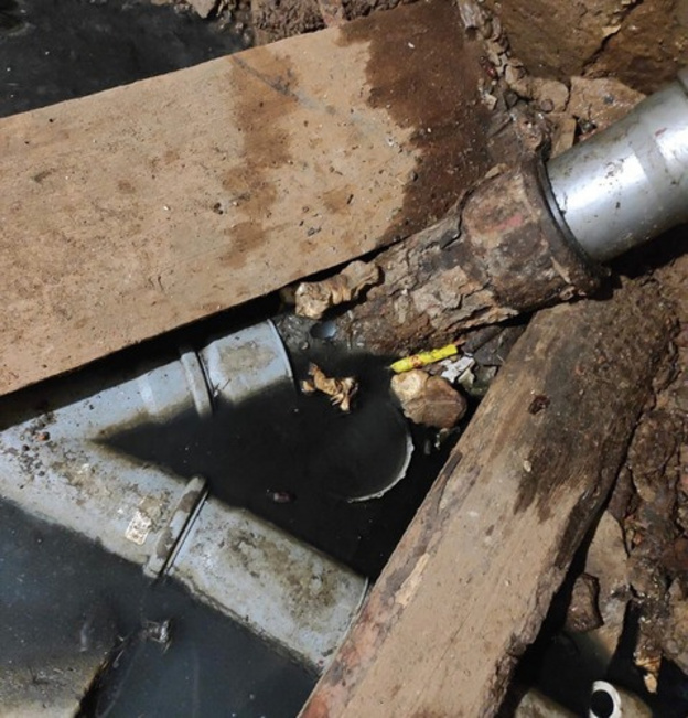 Спешный ремонт подвала в доме на Воровского не помог избавиться от тараканов и мух