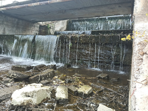 Как выглядит пруд в парке имени Кирова во время спуска воды. Фотолента