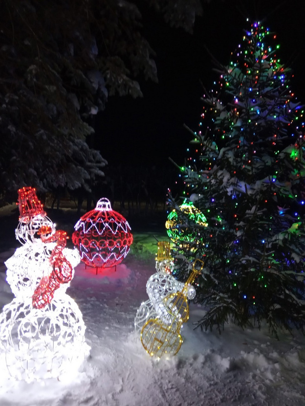 Ёлки-палки: подборка новогодних елей из райцентров Кировской области