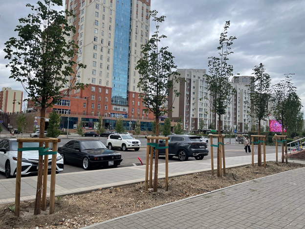 Специалисты Кирова и Астаны обменялись опытом озеленения городов