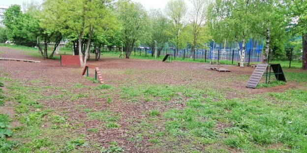 В Кирове на придомовых территориях могут появиться площадки для выгула собак
