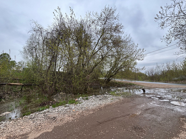 В слободе Санниковы из-под земли течет вода, которая затапливает огороды и дорогу