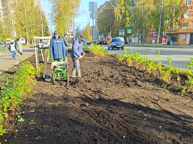 В Кирове благоустраивают газон и сажают тюльпаны