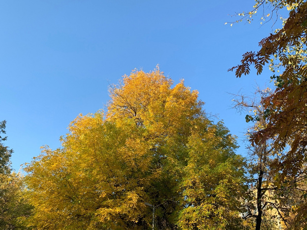 Золотая осень в Кировской области. Фотолента