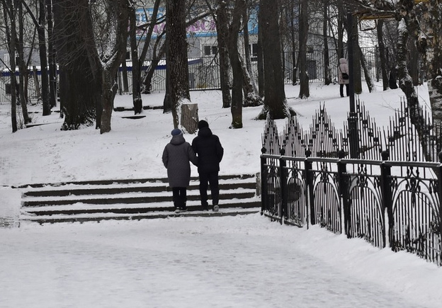 Россиянам хотят выплачивать новогоднюю пенсию каждый год