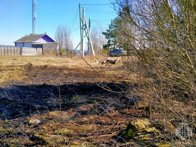 В Кировской области случился первый в сезоне ландшафтный пожар