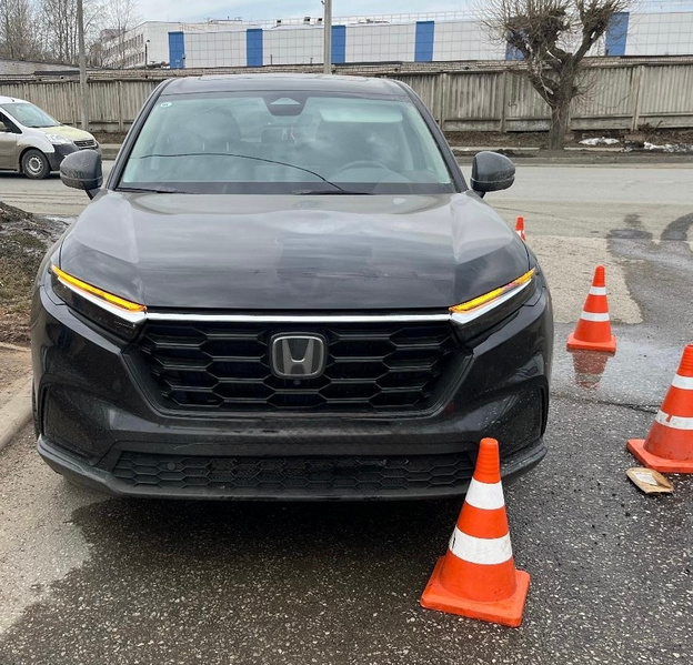 В Кирове водитель на «Хонде» сбил велосипедиста