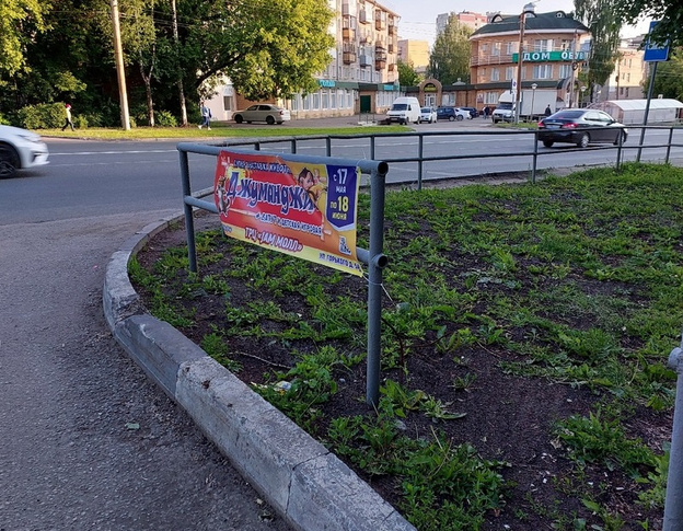 Организатор выставки животных в Кирове незаконно разместил рекламу на заборах