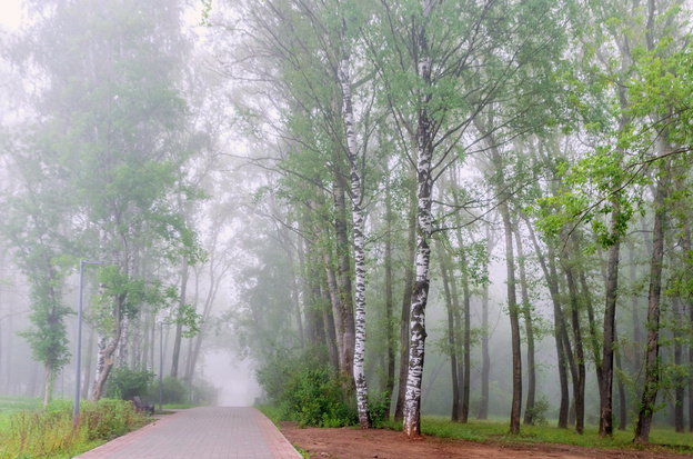 Киров накрыл густой туман. Фото