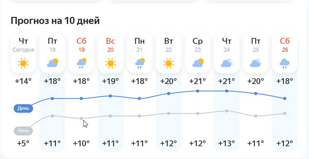 В Кирове началось бабье лето: как долго оно продлится