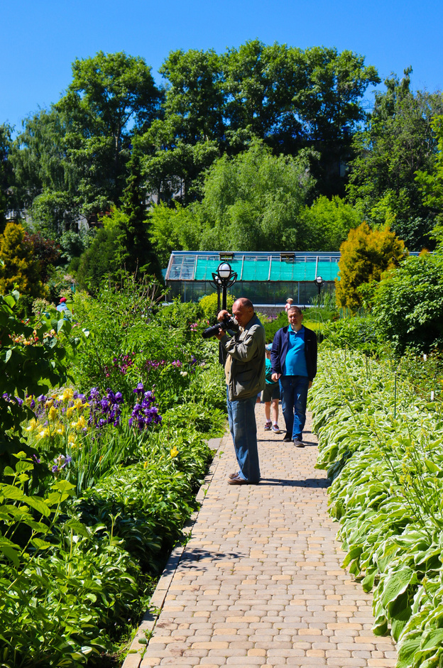 Летние сезоны в Ботаническом саду: фоторепортаж