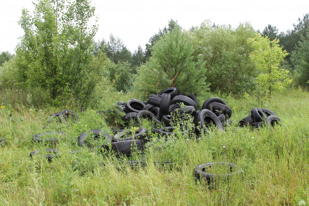 В лесах под Кировом нашли три новые свалки автомобильных покрышек