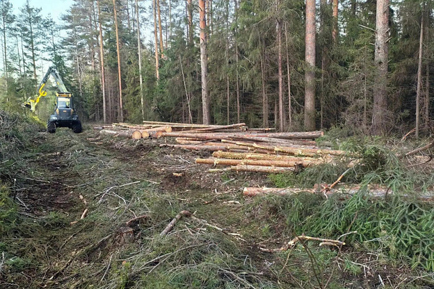 В Кирово-Чепецком районе начали готовить к ремонту дорогу на Бумкомбинат