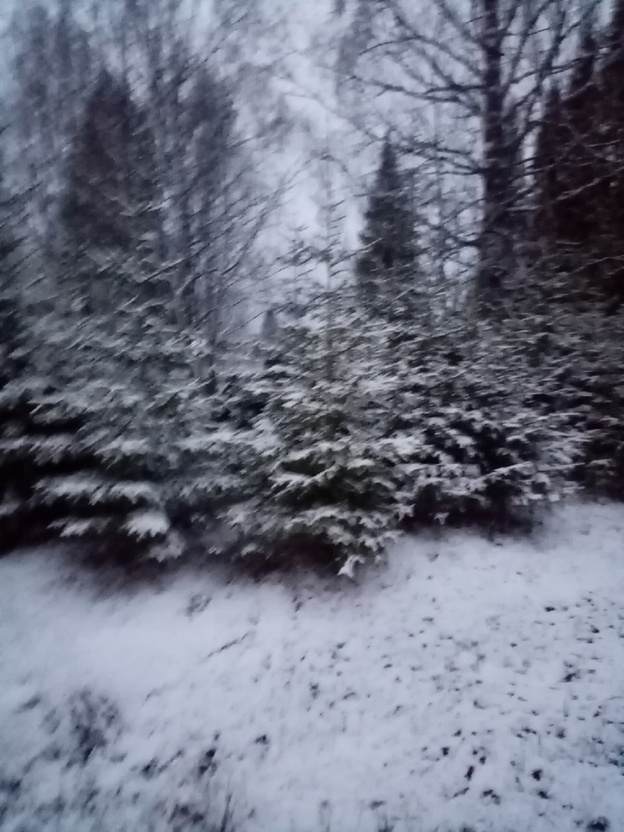 Пользователи соцсетей делятся фотографиями выпавшего в Кировской области снега