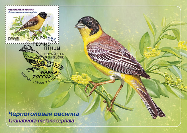 Овсянка, сойка, королёк: в России в почтовое обращение вышли марки с изображением певчих птиц