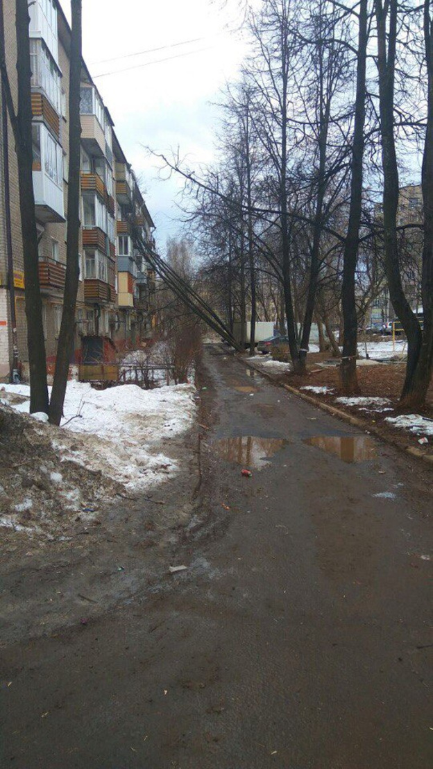 В центре Кирова на дом упало дерево