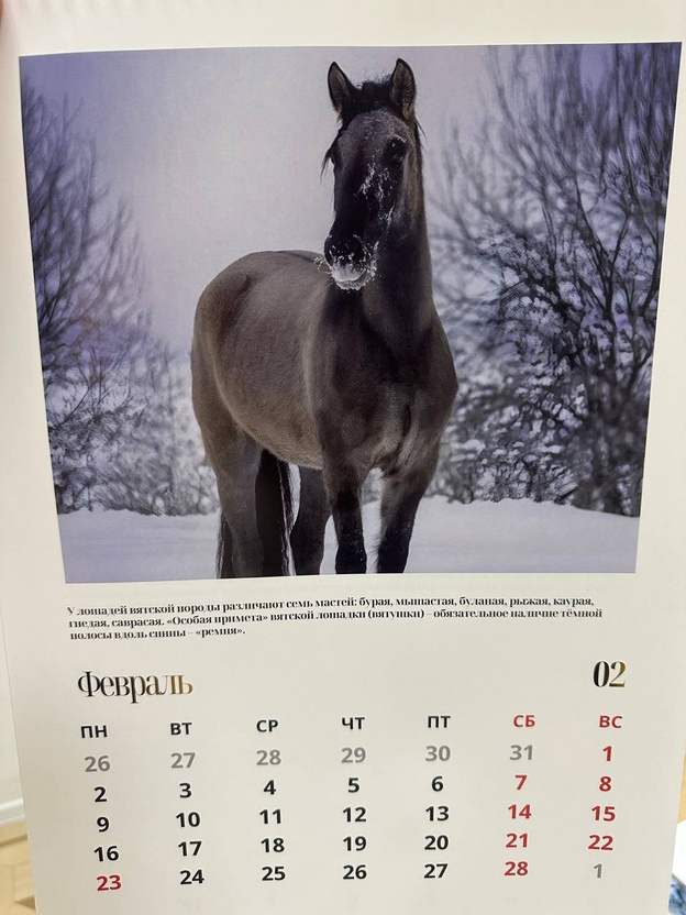 Никита Белых призвал помочь развитию бренда «Вятская лошадка»