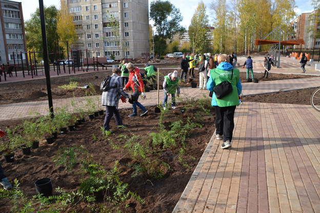 В кирово-чепецком парке «Южный» стартовал первый этап озеленения