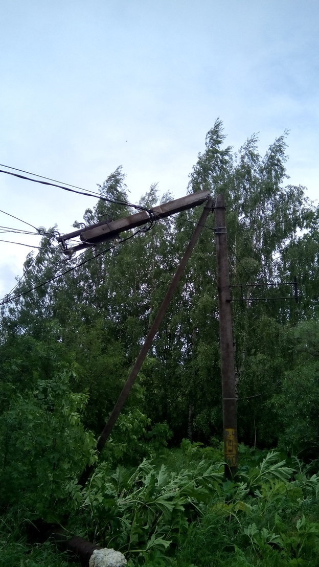 Помятые машины и упавшие деревья. Фото последствий урагана в Кирове и области