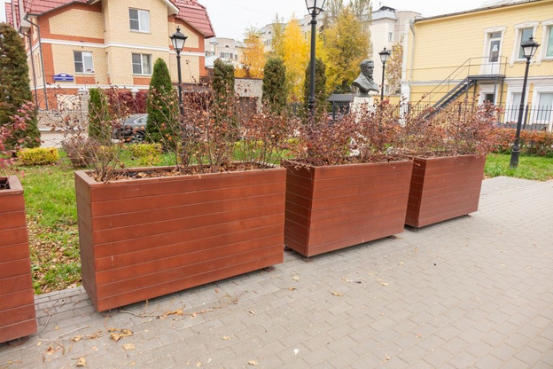 Кировское озеленение убирают на зимовку