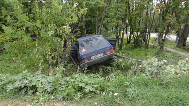 В Даровском пьяный водитель «девятки» на скорости влетел в дерево