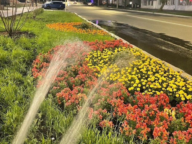 В Кирове ежедневно поливают гидровазоны, клумбы и контейнеры с растениями