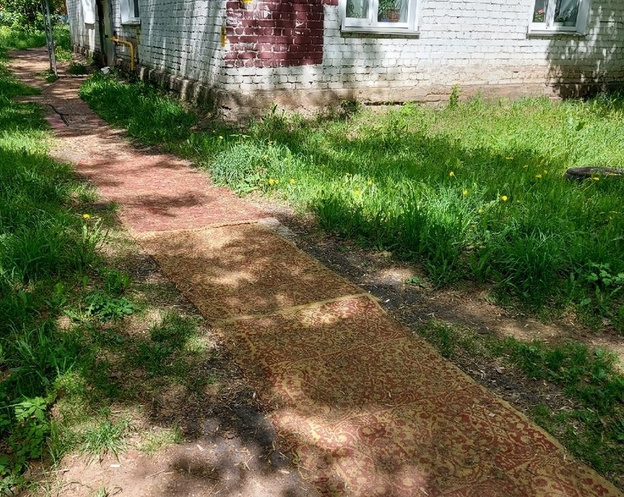 Опил, сорняки, кирпичи, ковры: чем латают «убитые» дороги в Кировской области