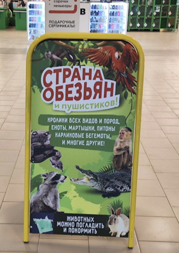 На выставке животных в кировском «Макси» нашли нарушения