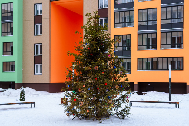 Горки, каток и живая ёлка: жилой комплекс ZNAK подготовился к встрече Нового года